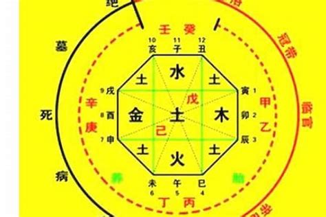 用神意思|关于“用神”，一次性给你说清楚！